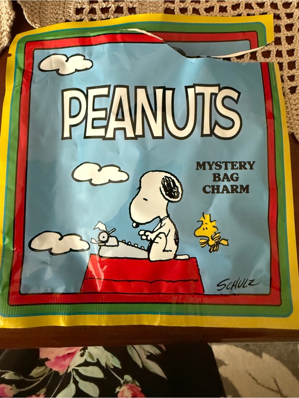 Peanuts Mystery Bag Charm (Charlie Brown)